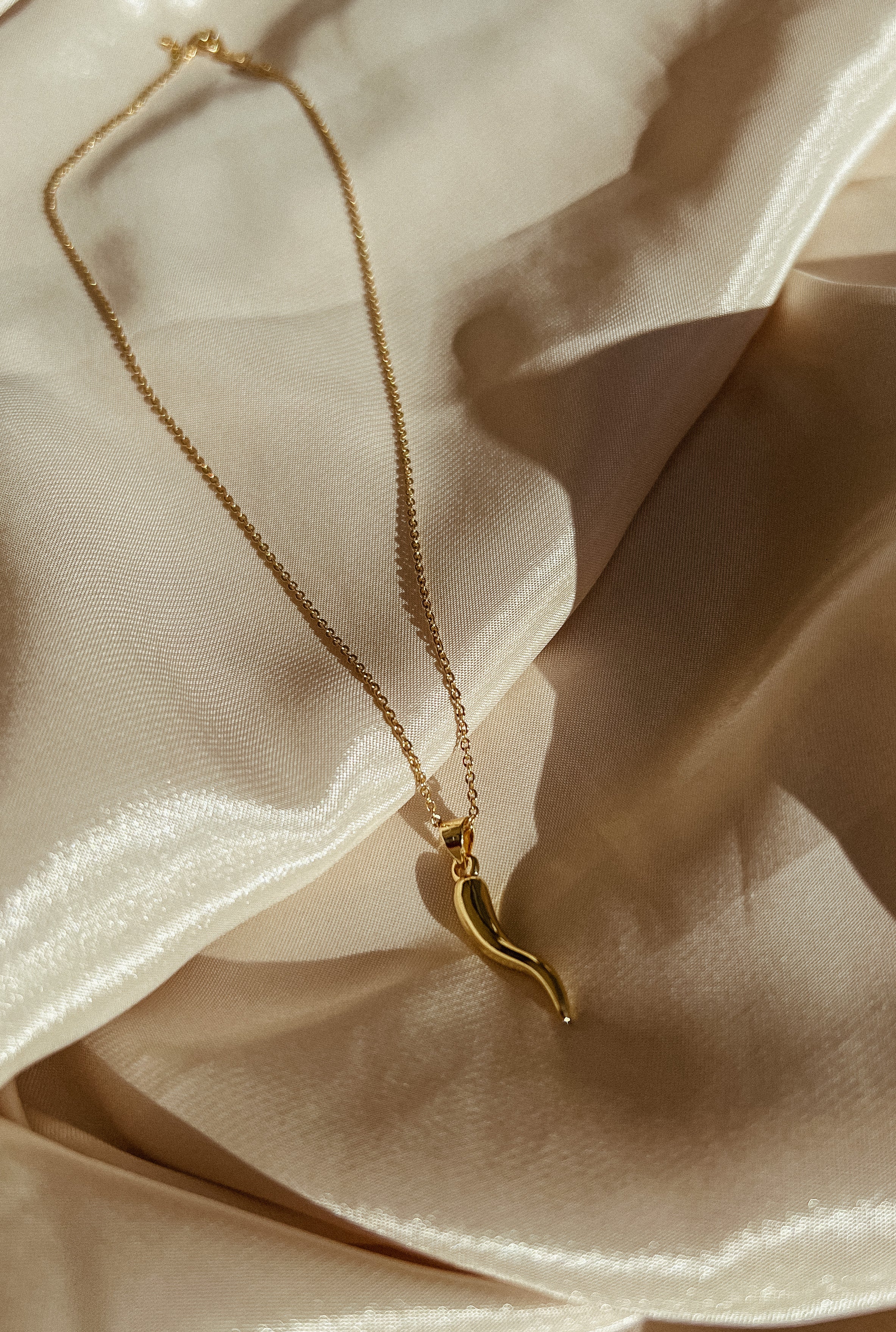 Women's Italian Horn necklace
